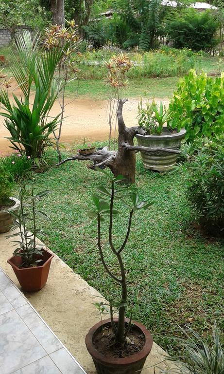 Sigiri Leisure Holiday Home Sigiriya Dış mekan fotoğraf