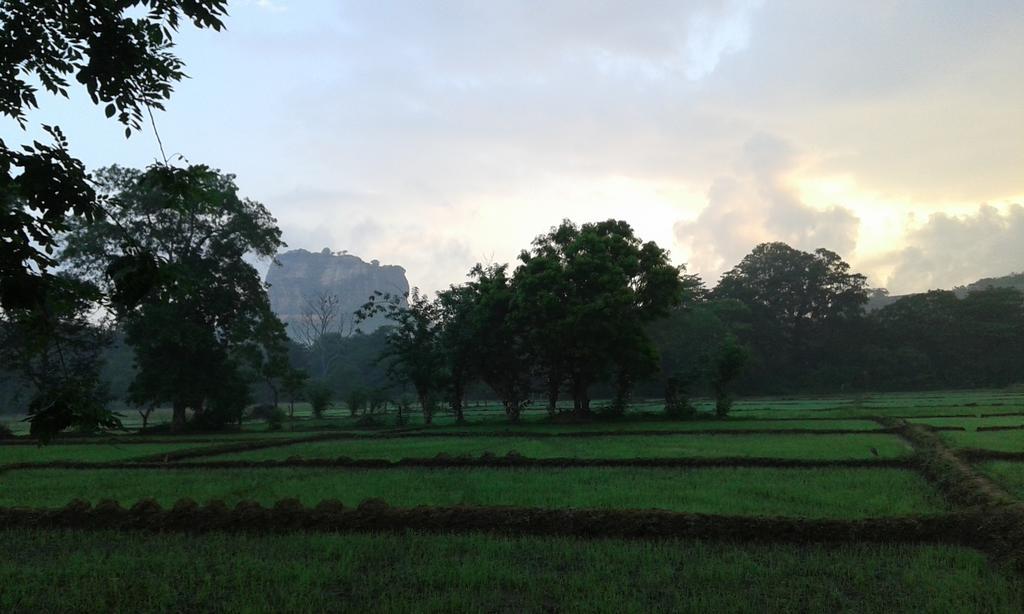 Sigiri Leisure Holiday Home Sigiriya Dış mekan fotoğraf